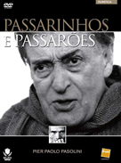 Capa PASSARINHOS E PASSAR�ES